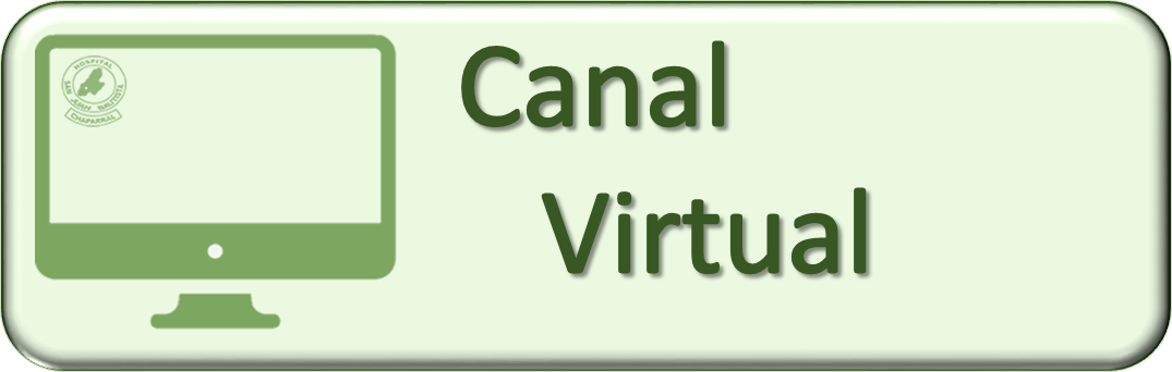 Canal Electronico3